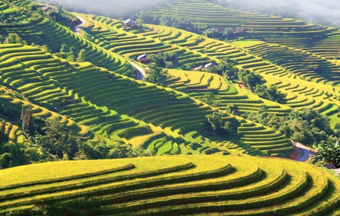 Doanh nghiệp du lịch dìu nhau vượt khó: Bamboo Airways miễn phí cho trẻ em dưới 12 tuổi - Ảnh 4.