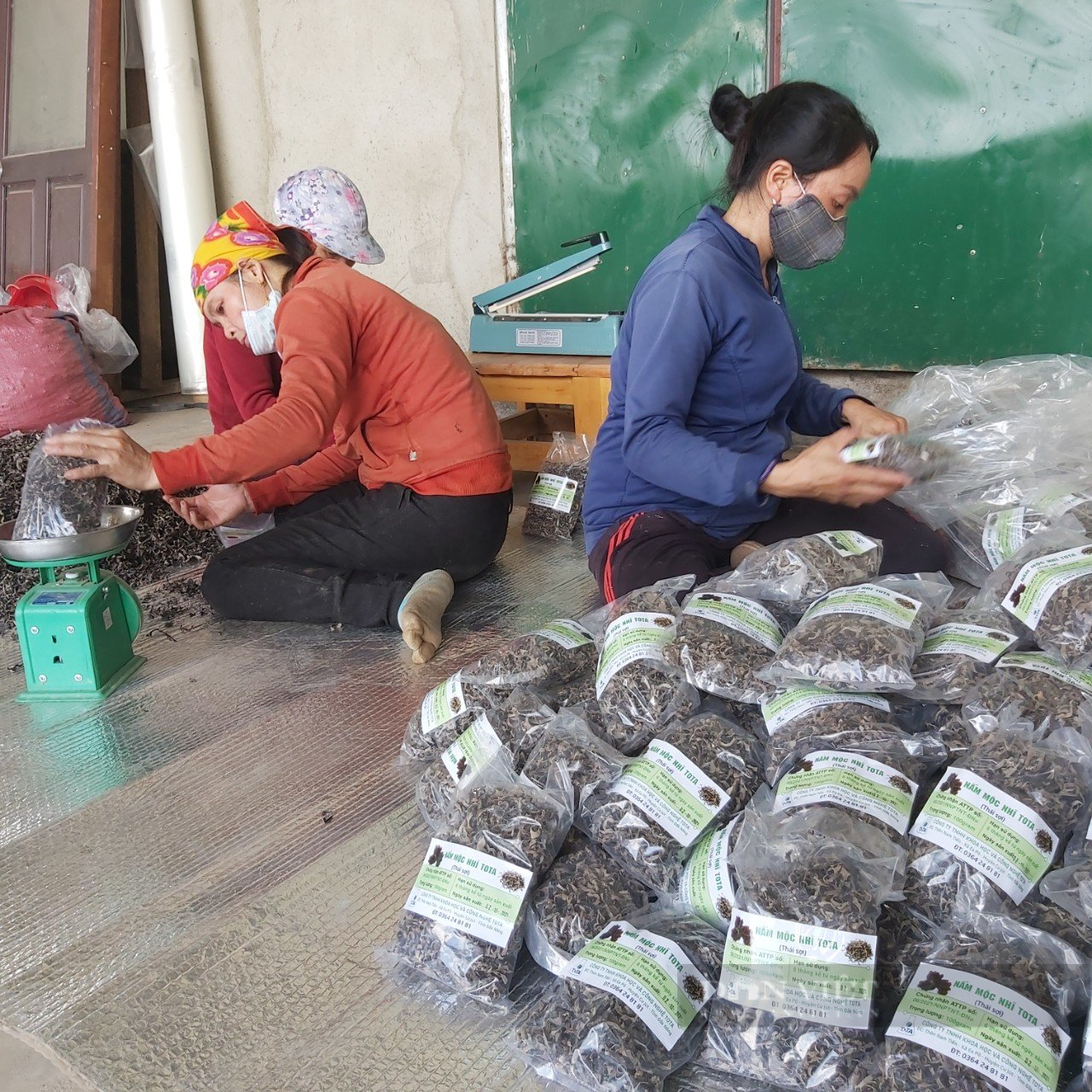 Đắk Nông: Vừa trồng nấm, vừa sản xuất điện mặt trời đem lại hiệu quả kinh tế cao - Ảnh 4.