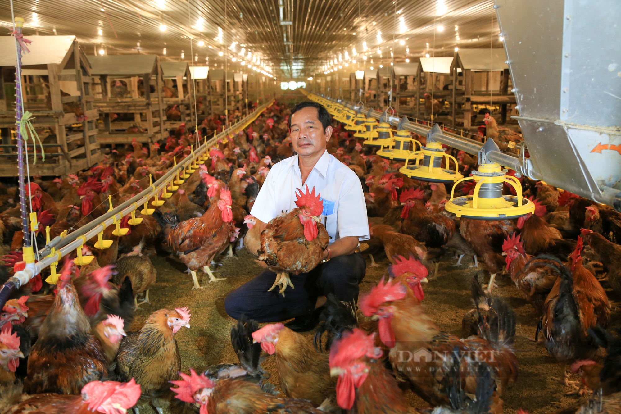 Hội Nông dân tỉnh Bình Dương xây dựng tổ chức Hội vững mạnh, giúp nông dân làm giàu - Ảnh 3.