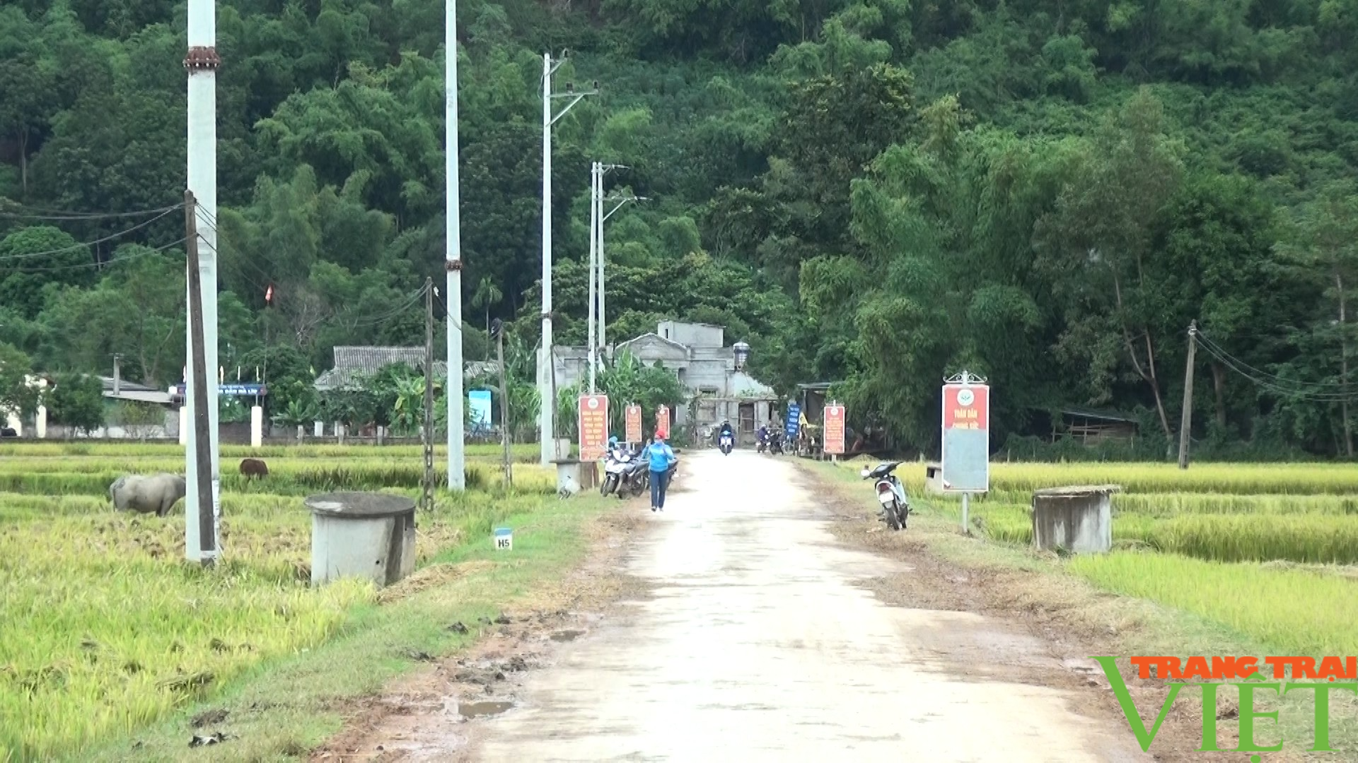 Nông thôn Tây Bắc: Huy Hạ vận động người dân không đốt rơm rạ sau khi thu hoạch lúa mùa - Ảnh 4. Nông thôn Tây Bắc: Huy Hạ vận động người dân không đốt rơm rạ sau khi thu hoạch lúa mùa - Ảnh 4.