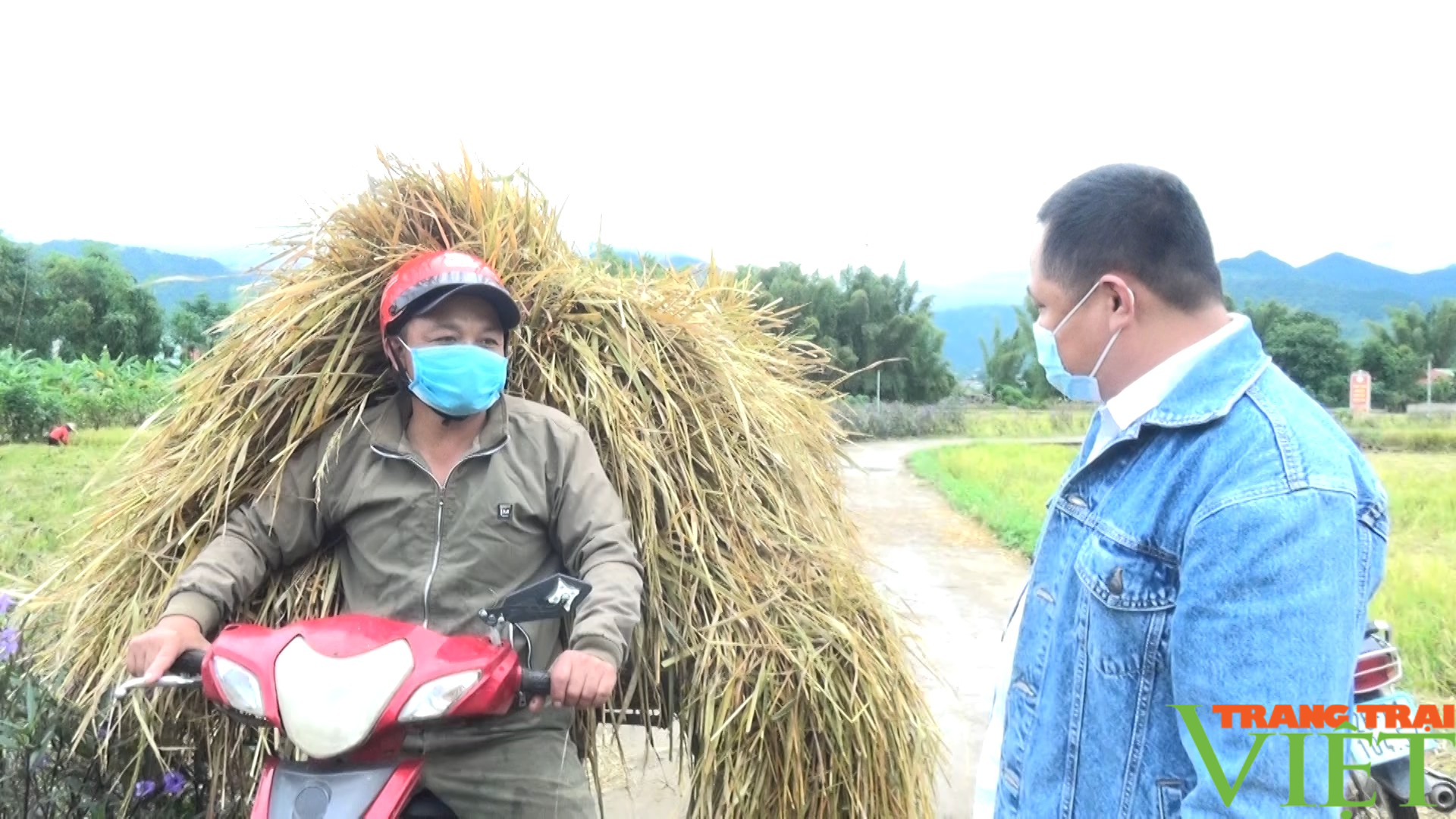 Nông thôn Tây Bắc: Huy Hạ vận động người dân không đốt rơm rạ sau khi thu hoạch lúa mùa - Ảnh 5. Nông thôn Tây Bắc: Huy Hạ vận động người dân không đốt rơm rạ sau khi thu hoạch lúa mùa - Ảnh 5.