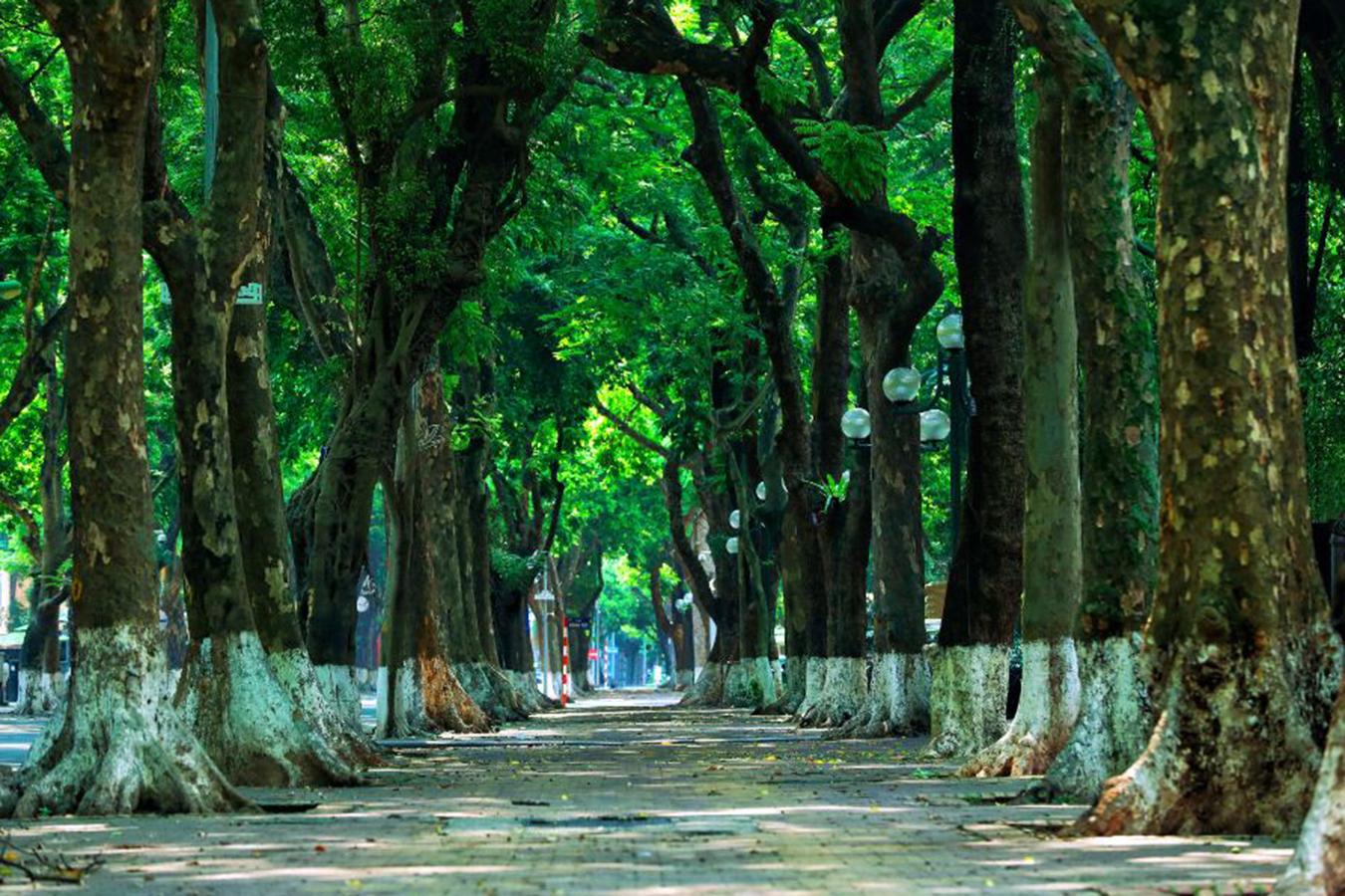 Hà Nội – Âm thanh của sự tĩnh lặng - Ảnh 5.