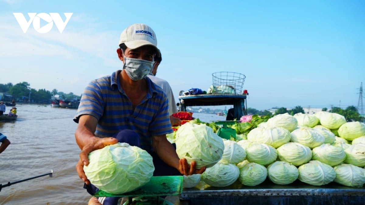 Chợ nổi Cần Thơ sôi động sau những ngày “ngủ quên” - Ảnh 3.