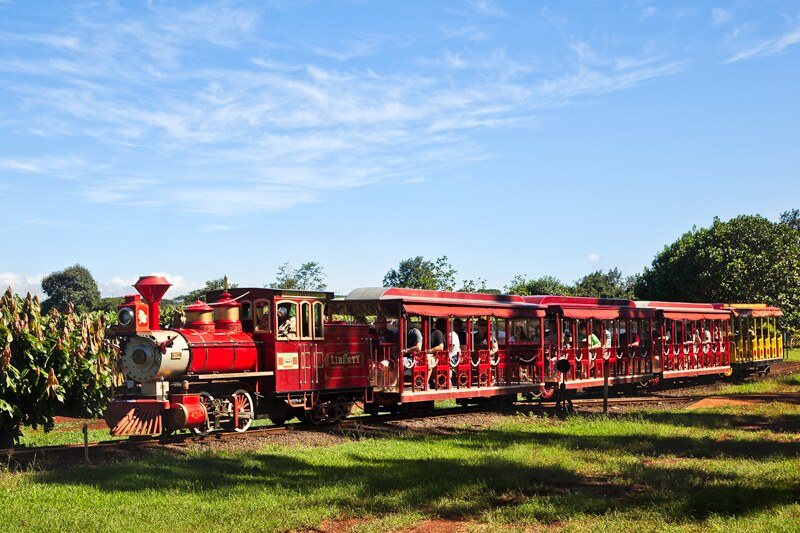 Mỹ: Hút du khách bằng tour trải nghiệm được tạo bởi 14.000 loài thực vật khác nhau - Ảnh 4.