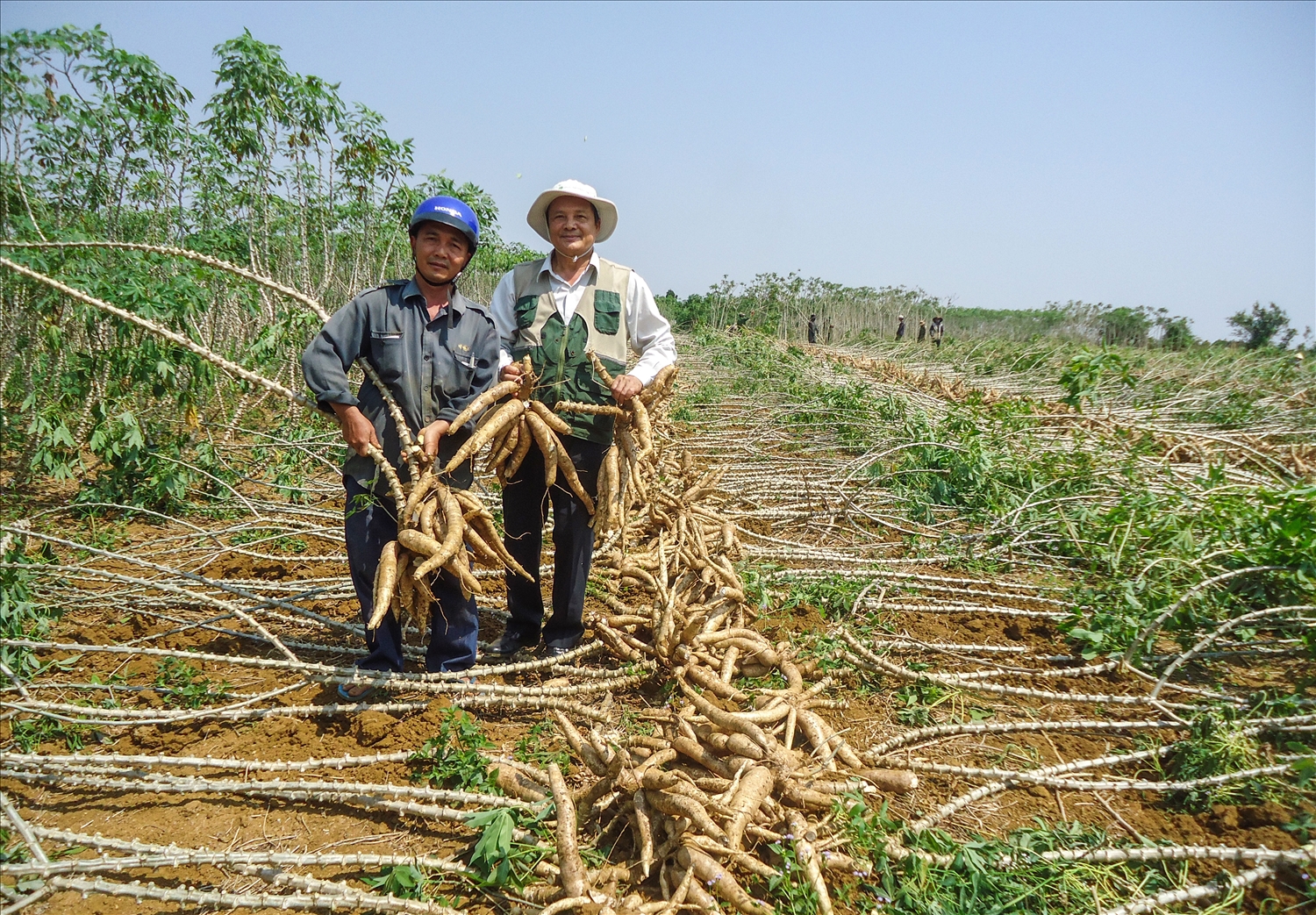 Đang mua của Việt Nam 2 triệu tấn nông sản này, Trung Quốc đột ngột chuyển sang mua của Thái Lan - Ảnh 1.