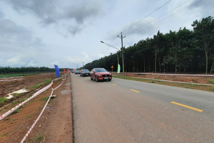 Bình Dương khởi công xây dựng đường tạo lực nối 3 huyện phía Bắc - Ảnh 1.