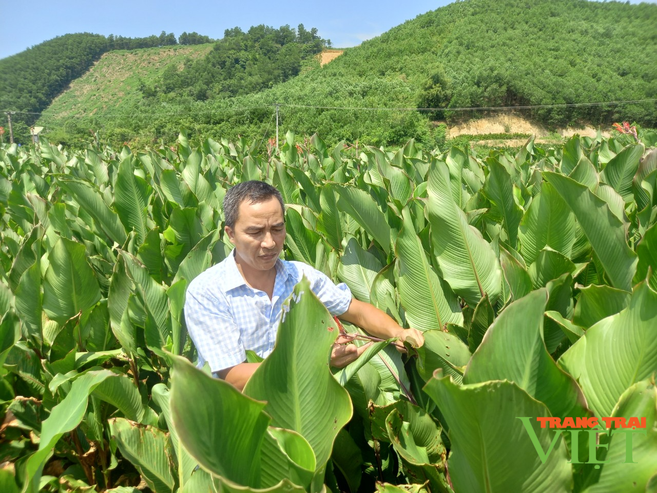 Hội Nông dân tỉnh Hoà Bình: Tập huấn, hỗ trợ hội viên phát triển kinh tế - Ảnh 4.