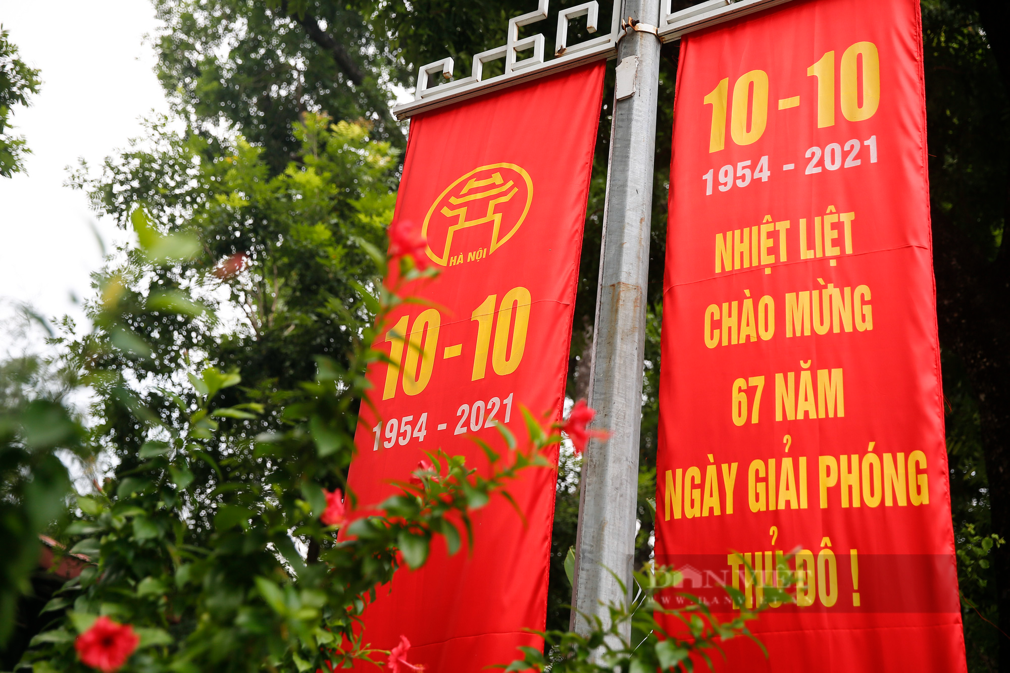Đường phố Hà Nội rực rỡ chào mừng Ngày Giải phóng Thủ đô  - Ảnh 4.