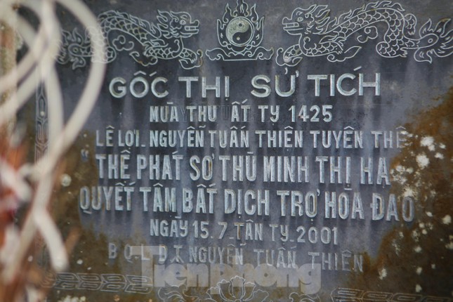 Lạ kỳ cây thị &quot;ăn thề&quot; 700 trăm năm rỗng gốc gắn với giai thoại vua Lê Lợi - Ảnh 11.