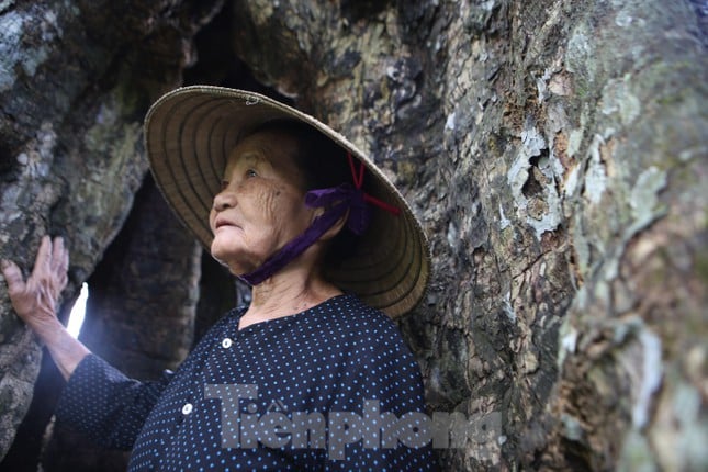 Lạ kỳ cây thị &quot;ăn thề&quot; 700 trăm năm rỗng gốc gắn với giai thoại vua Lê Lợi - Ảnh 19.