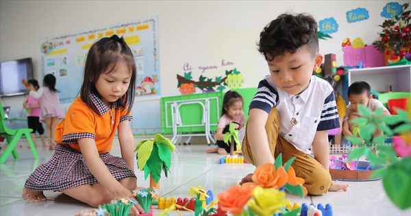 Học trực tuyến kéo dài: Lo từ mầm non đến đại học - Ảnh 1.