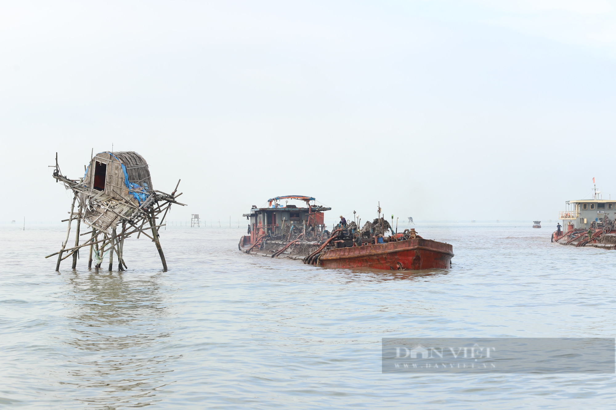Hải Phòng: Quy hoạch nuôi ngao thụt lùi: Bãi ngao có trước, quy hoạch có sau, sao lại bảo dân nuôi... tự phát? (bài 2) - Ảnh 1.
