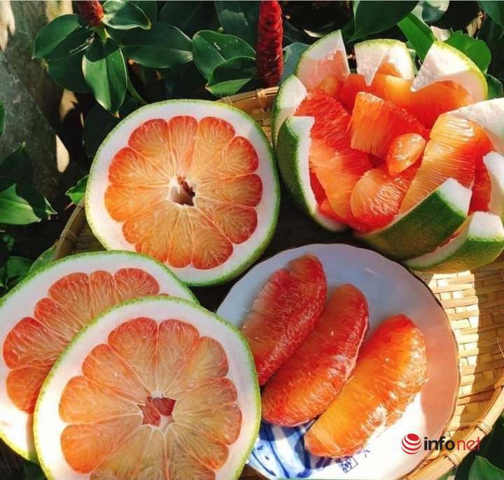 Đưa bưởi da xanh Việt Nam sang trời Tây, lợi thế lớn của hàng trăm nông dân tham gia HTX - Ảnh 4.