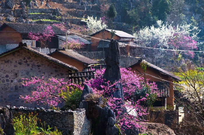 Du lịch “xứ sở ngàn mây” Sapa mùa nào đẹp nhất - Ảnh 2.