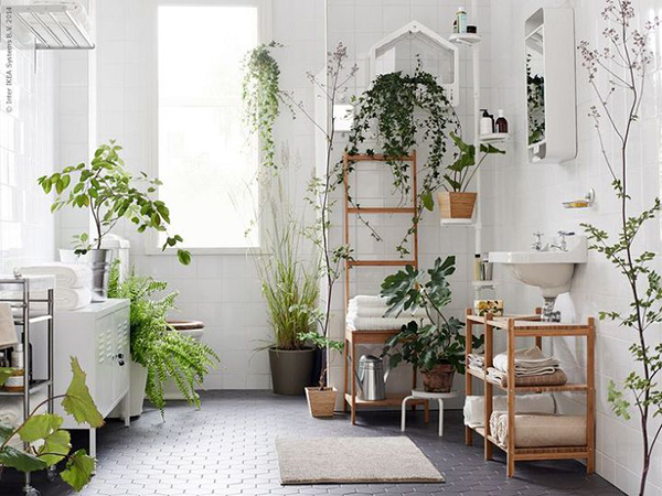 Mùi hôi trong WC sẽ biến mất nếu bạn trồng 1 trong 8 loại cây &quot;khắc tinh&quot; nhà vệ sinh này - Ảnh 4.