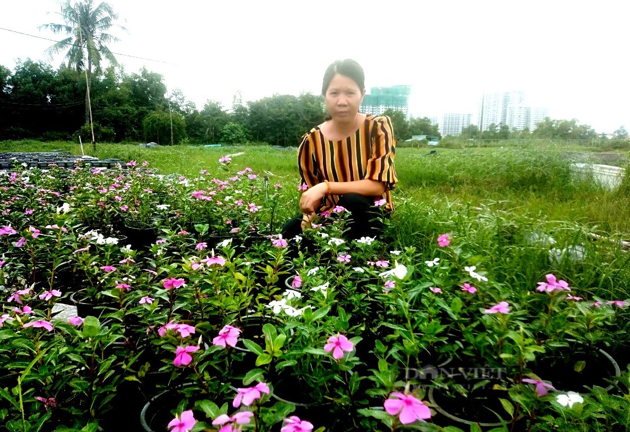 TP.HCM: Của ngon, vật lạ nào vừa trình làng giới sành điệu? - Ảnh 3.