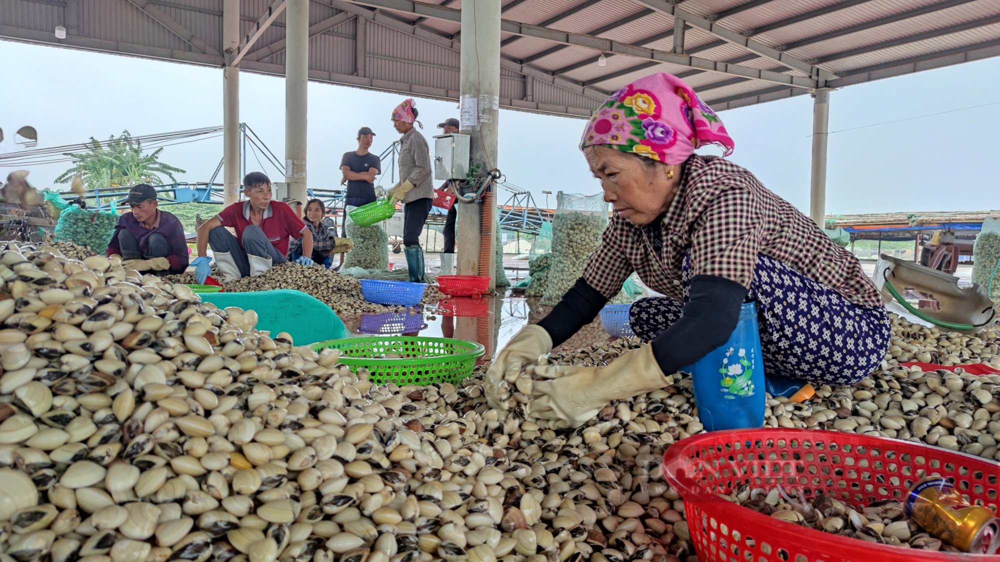 Cận cảnh những &quot;vòi rồng&quot; khai thác cát trái phép trên cửa sông Văn Úc - Ảnh 9.