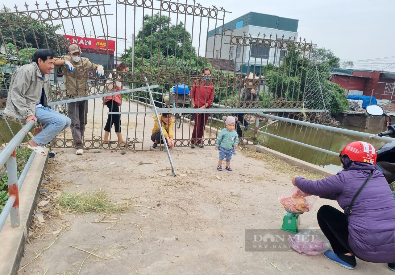 Nghị quyết 128: Người dân giáp ranh 2 tỉnh Thanh Hóa-Ninh Bình vẫn chui, trèo hàng rào sắt đi lại hằng ngày - Ảnh 9.