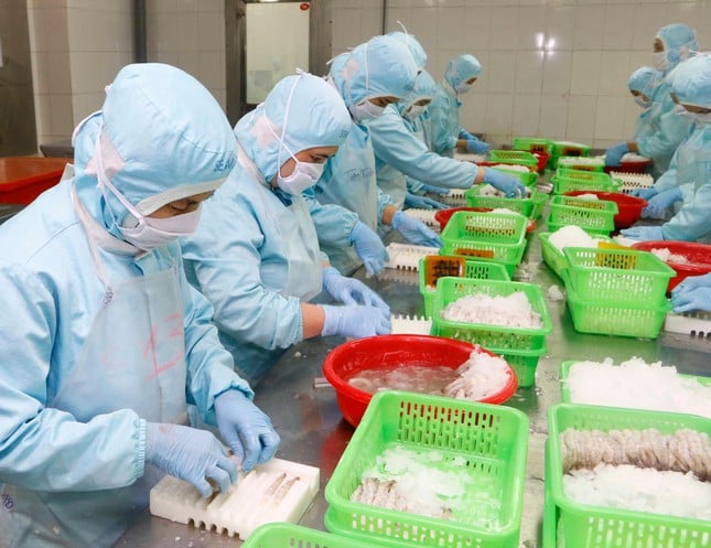 Nhiều doanh nghiệp tại Cần Thơ chưa đủ 'điều kiện' để tái hoạt động - Ảnh 2.
