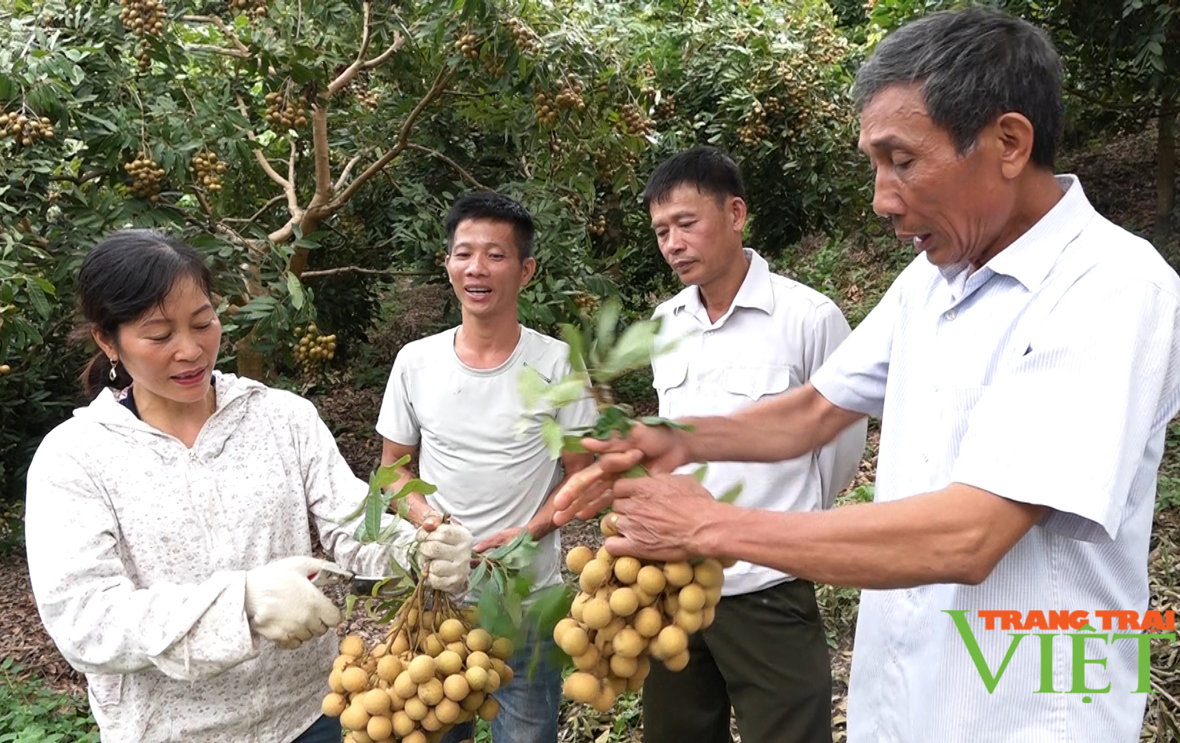 Nông thôn Tây Bắc: Lãnh đạo cùng người dân lo tiêu thụ nông sản - Ảnh 5.