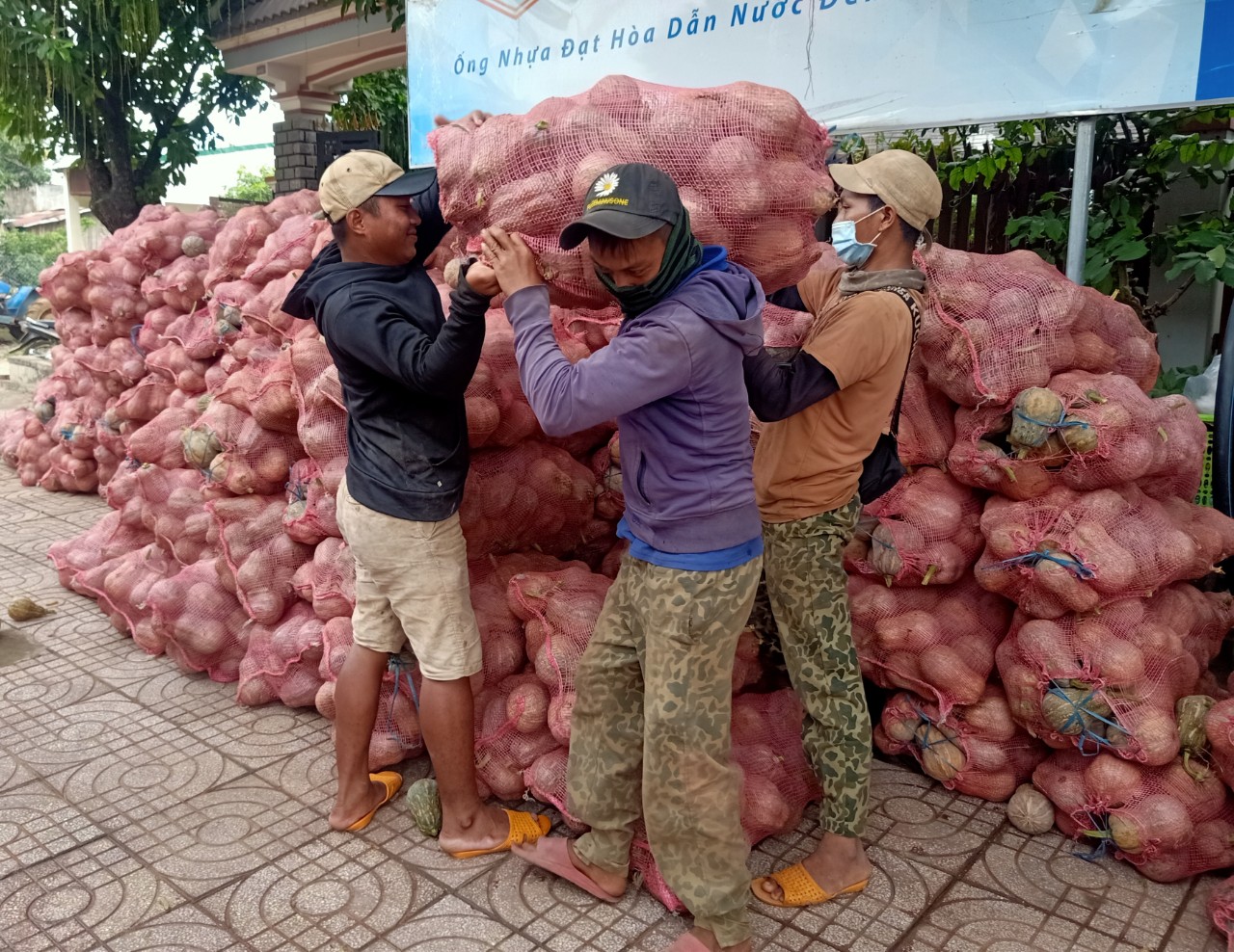 Đắk Lắk: Đến khổ, bí đỏ loại này bán rẻ chưa từng thấy, bán 1 tạ trái mới mua được 1 ký thịt heo - Ảnh 1.