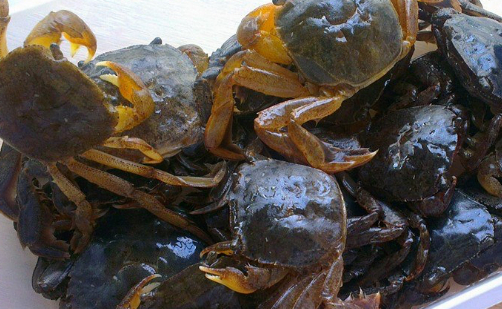 Từ cua qua rạm, vị hương còn chút riêu này làm ghi - Ảnh 2.