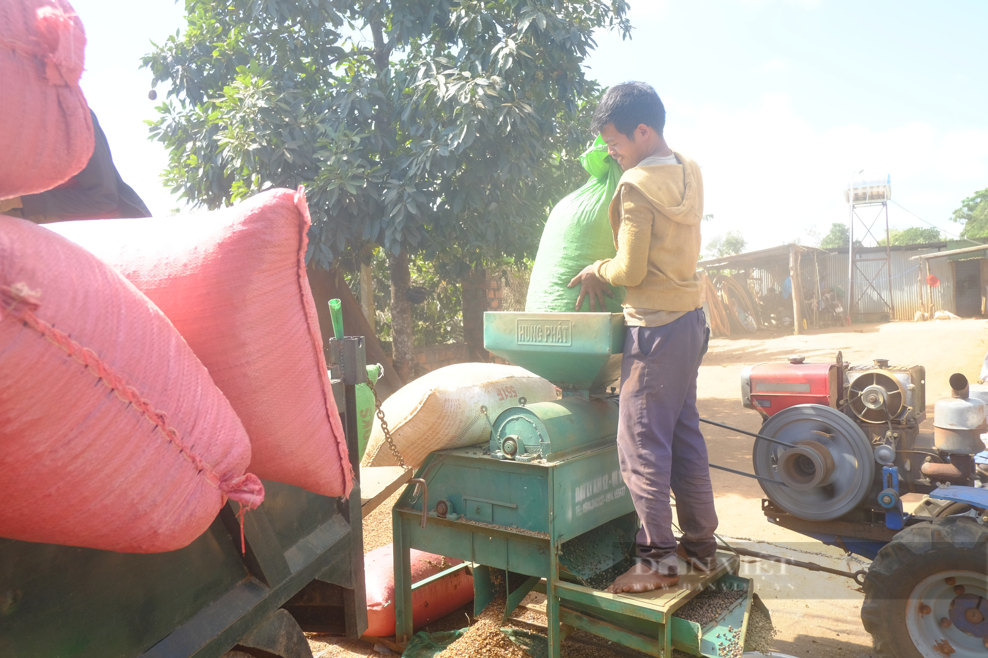 Đắk Lắk, Đắk Nông cần 28 triệu công lao động hái thứ trái sắp chín đỏ trên cây mà tìm mỏi mắt vẫn thiếu - Ảnh 1.