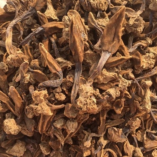 Ba đặc sản &quot;thần dược phòng the&quot; đắt mấy cũng hút khách - Ảnh 4.