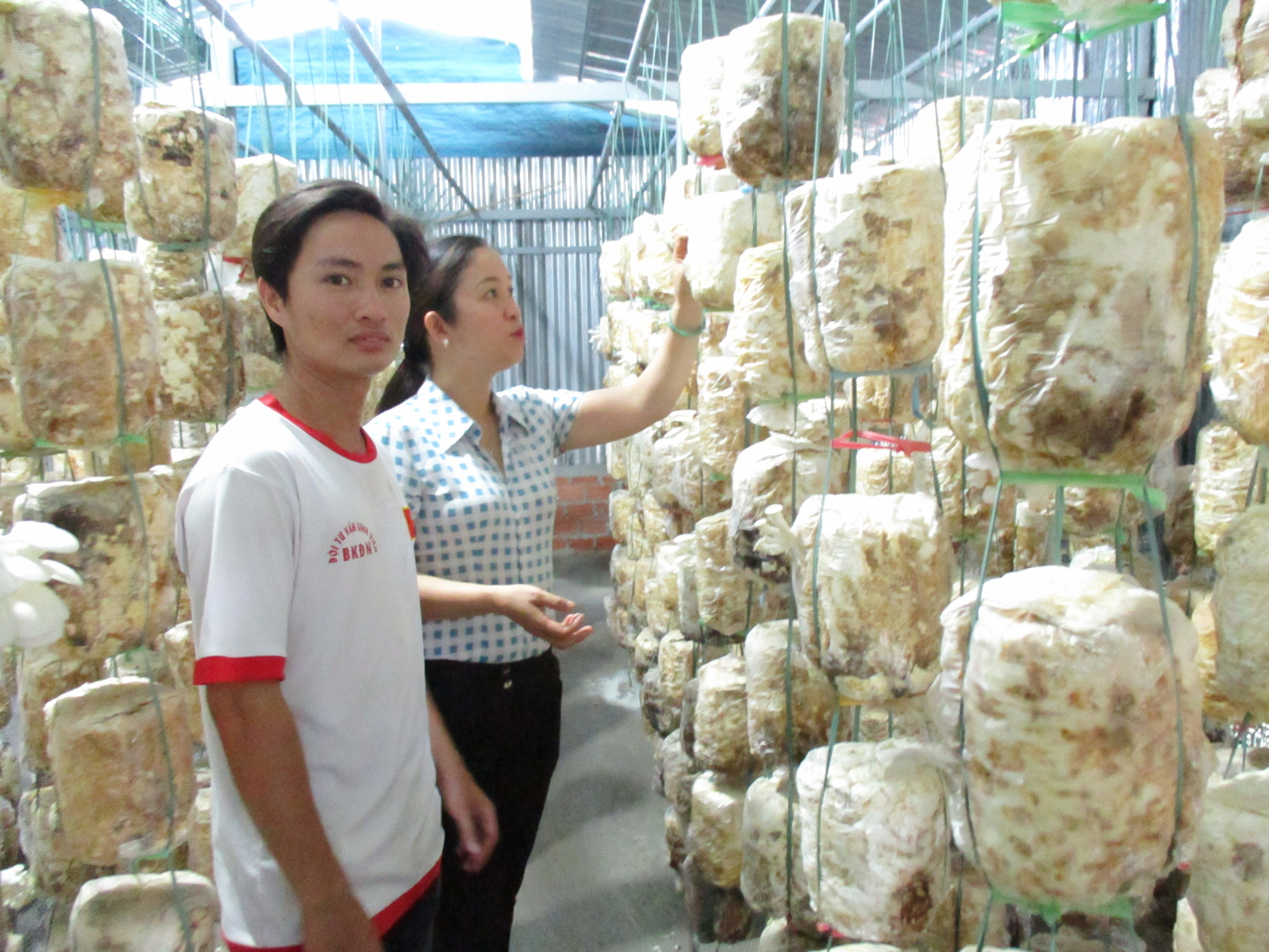 Quảng Nam: Thống nhất đề nghị công nhận Duy Xuyên đạt chuẩn huyện nông thôn mới - Ảnh 4. Quảng Nam: Thống nhất đề nghị công nhận Duy Xuyên đạt chuẩn huyện nông thôn mới - Ảnh 4.