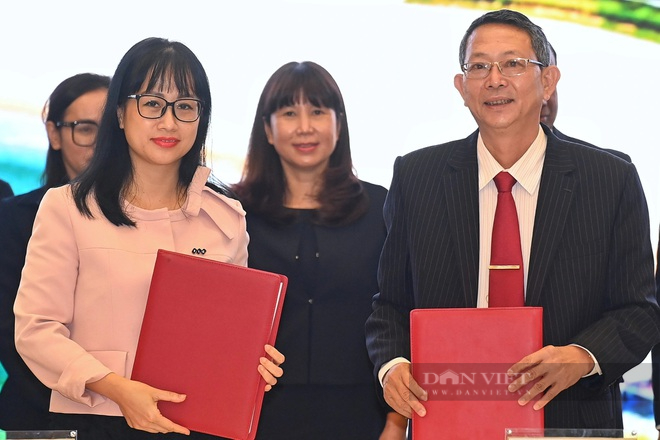 Bình Định kích hoạt du lịch xanh: &quot;Điểm đến an toàn, trải nghiệm hấp dẫn&quot; - Ảnh 3.