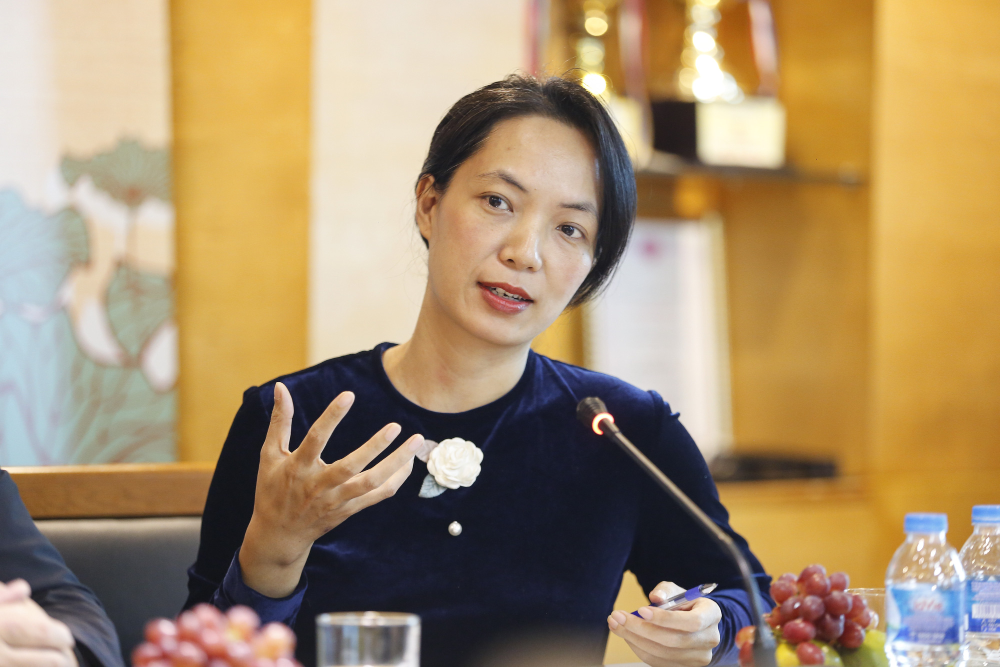 Tọa đàm trực tuyến: &quot;Nông thôn luôn là chốn nuôi dưỡng giá trị văn hóa của dân tộc&quot; - Ảnh 1.