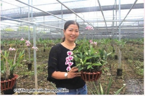 Trồng loại lan cả năm chỉ thấy lá, tết đến cây &quot;tuôn&quot; hoa như suối, nông dân nơi này của TP HCM giàu hẳn lên - Ảnh 1.