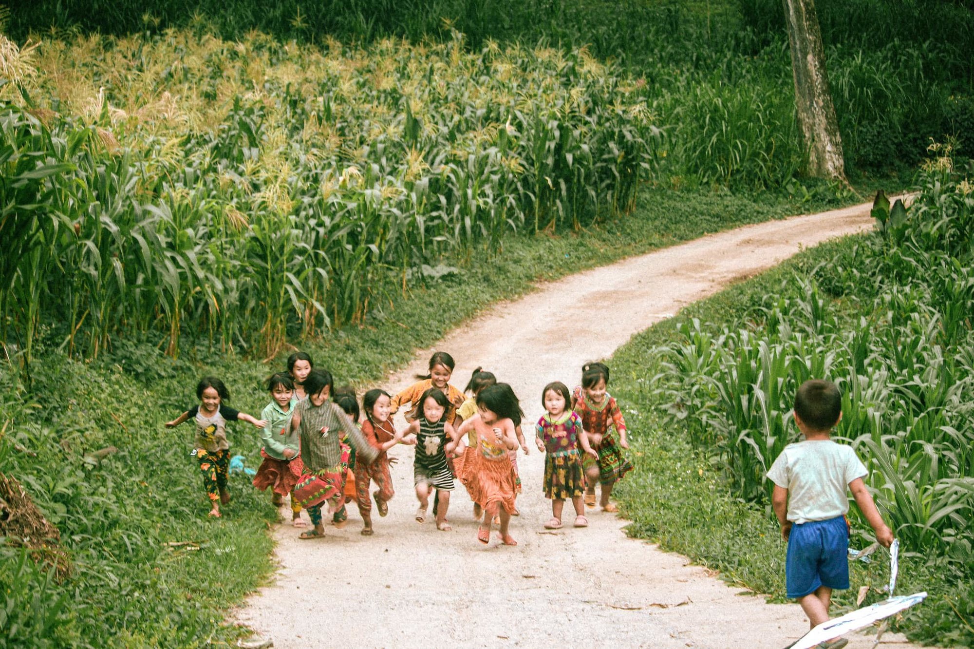 Làng cổ Thiên Hương trăm năm tuổi ở Hà Giang - Ảnh 6.