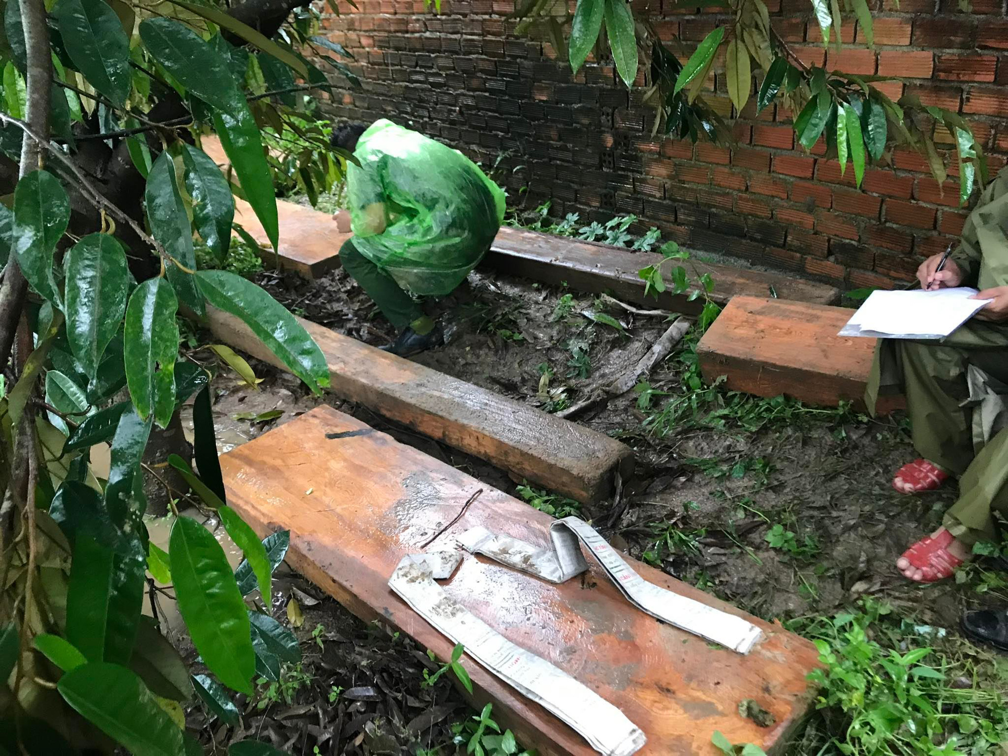 Đắk Lắk: Mở rộng điều tra một cơ sở vận chuyển, tàng trữ gỗ trái phép - Ảnh 1.