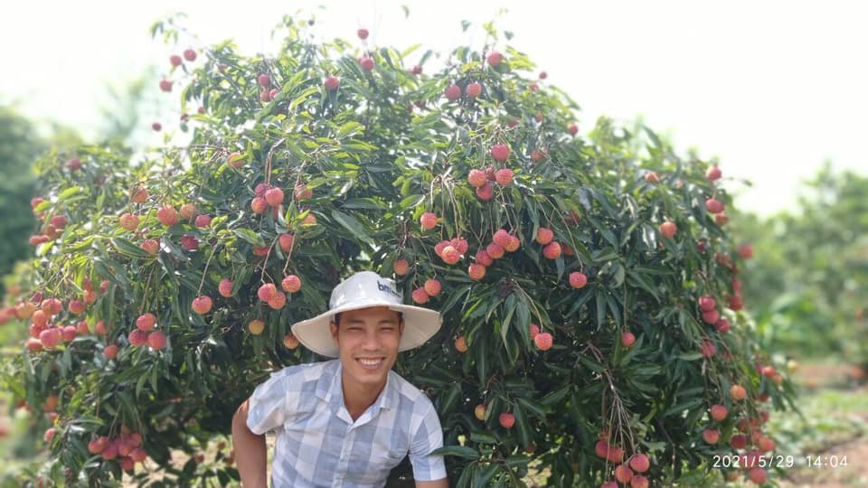 Bắc Giang: Trai xinh gái đẹp quyết tâm xây dựng sản phẩm OCOP nâng cao thương hiệu cho sản vật quê hương - Ảnh 2.