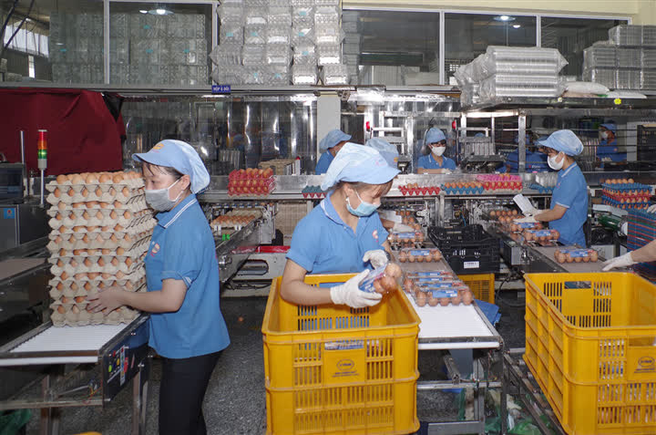 Công nhân trở lại TP.HCM làm việc, nhiều doanh nghiệp tăng ca chạy đơn hàng Tết - Ảnh 3.