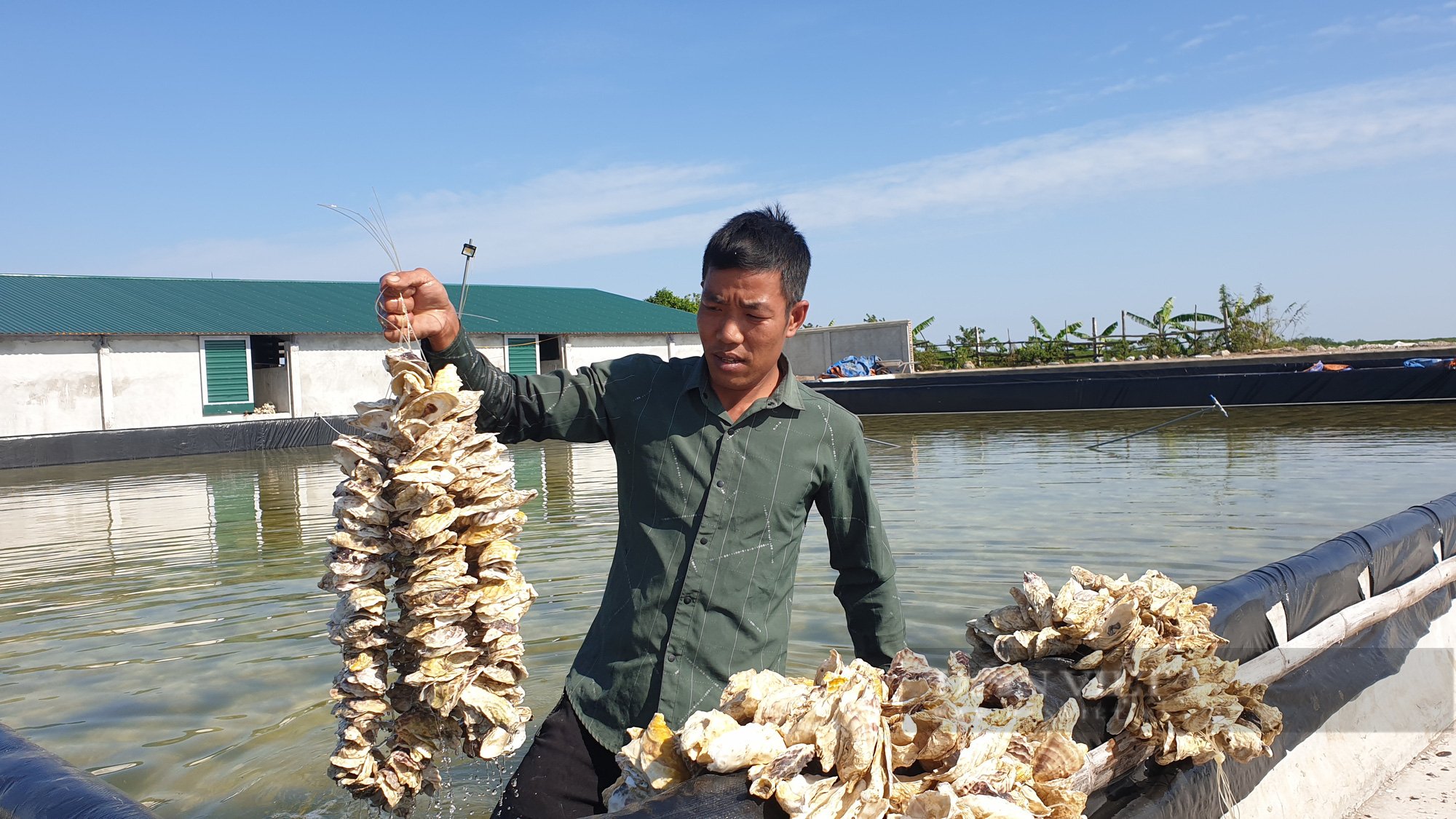 Ninh Bình: 8x nuôi loại con hái ra tiền, chỉ sau 25 ngày kiếm được tiền tỷ - Ảnh 9.