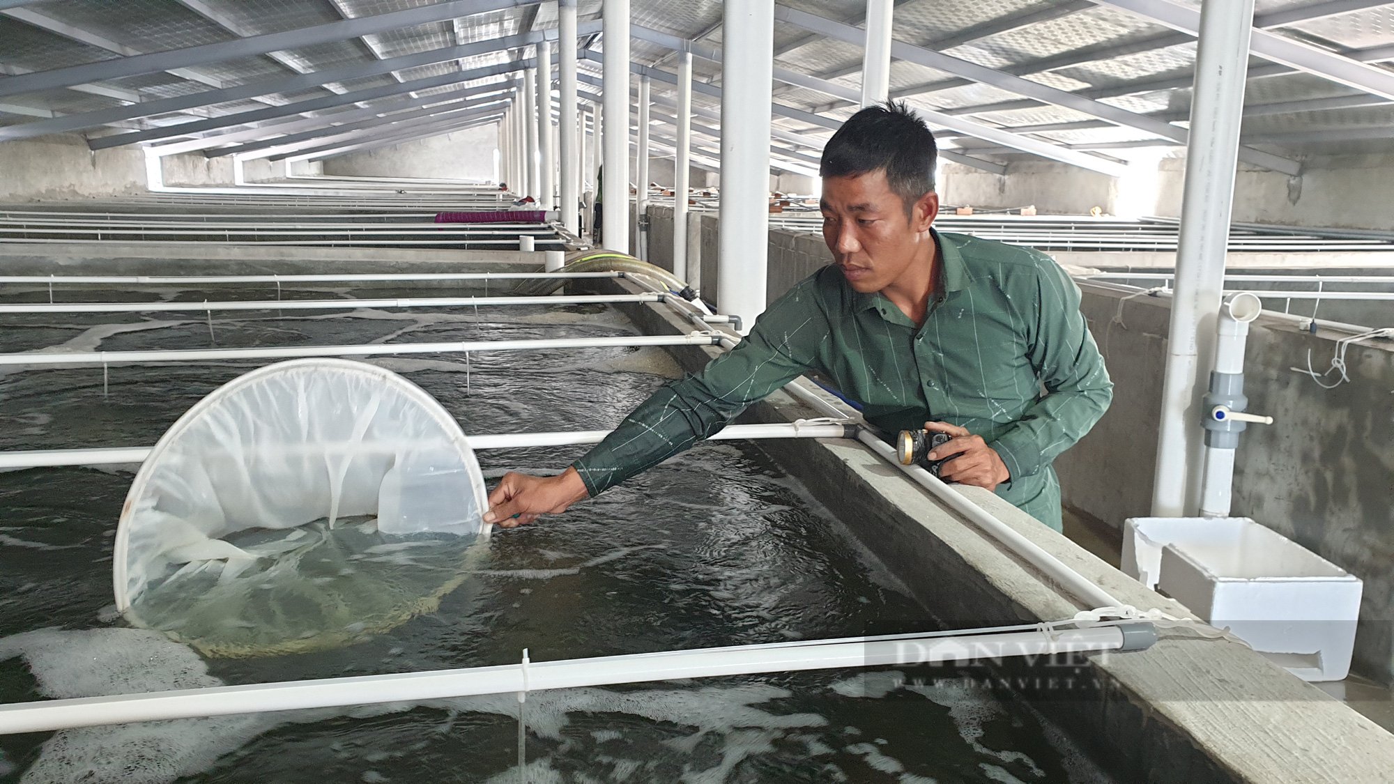 Ninh Bình: 8x nuôi loại con hái ra tiền, chỉ sau 25 ngày kiếm được tiền tỷ - Ảnh 6.