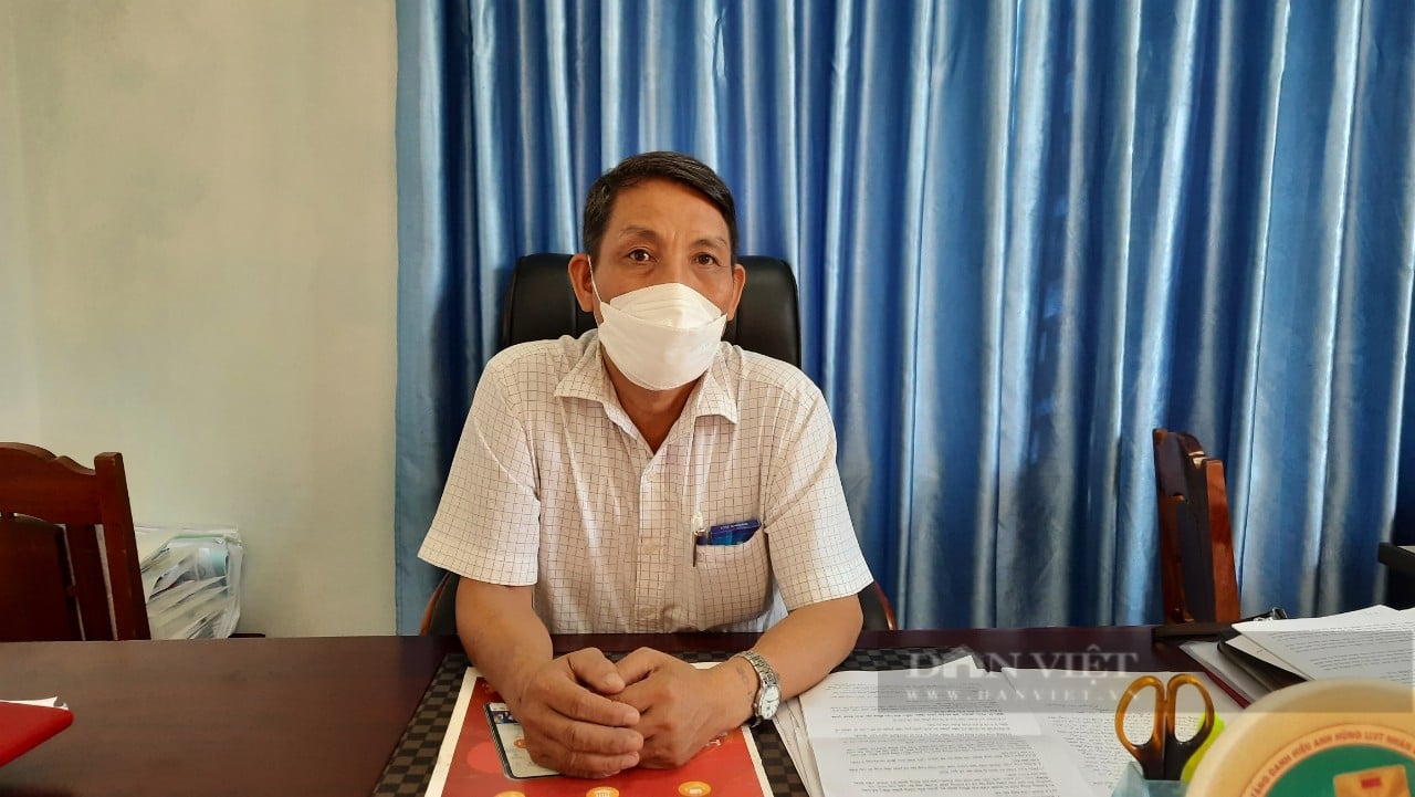 Quảng Trị: Hàng trăm ha rừng bị bỏ hoang, lãng phí tiền tỷ mỗi năm trong khi dân thiếu đất - Ảnh 5.