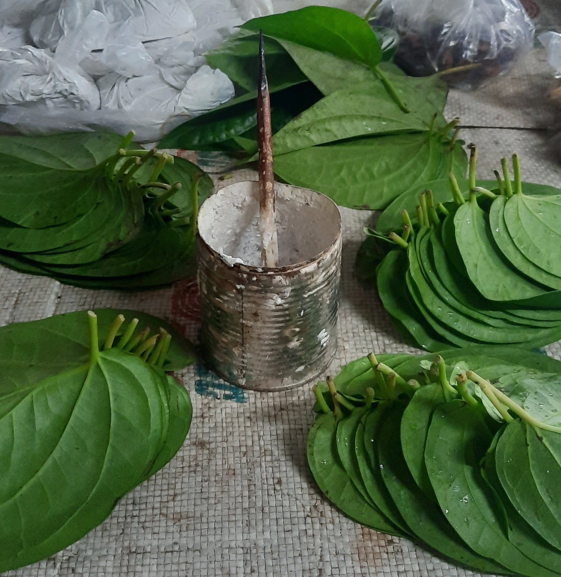 Kể chuyện làng: Quạt vôi cho ngoại ăn trầu - Ảnh 2.
