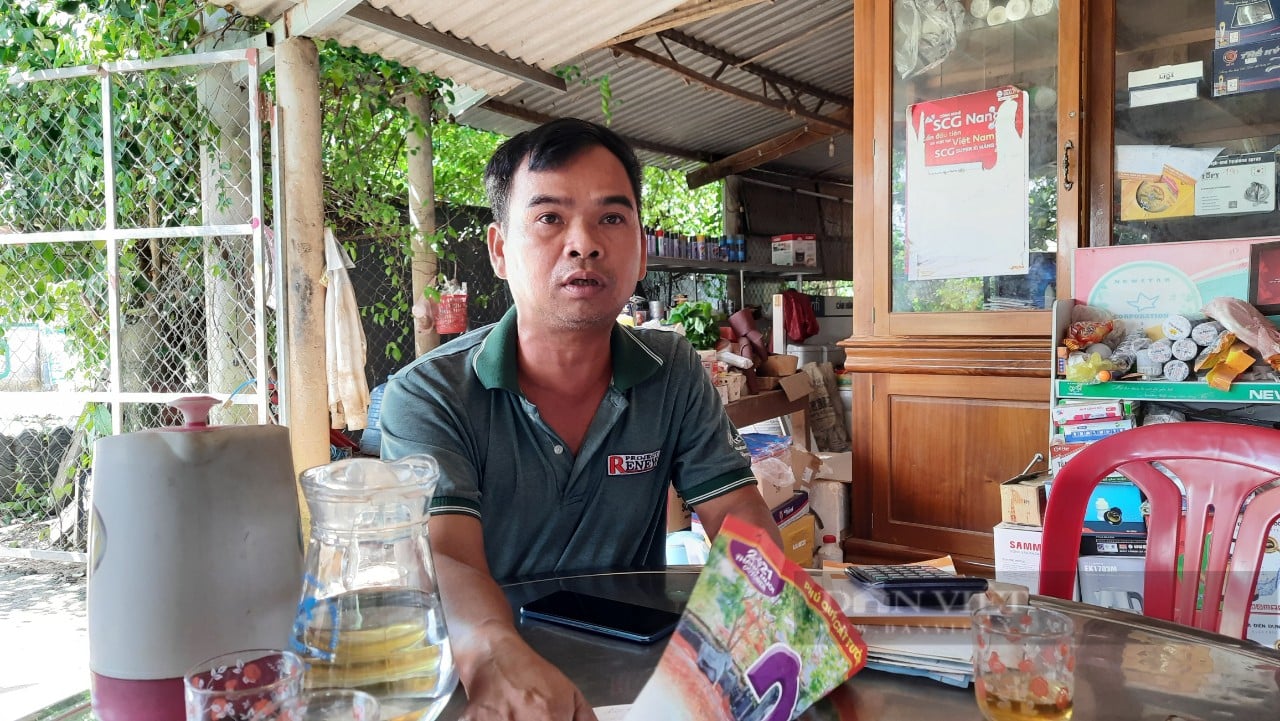 Quảng Trị: Hàng trăm ha rừng bị bỏ hoang, lãng phí tiền tỷ mỗi năm trong khi dân thiếu đất - Ảnh 3.