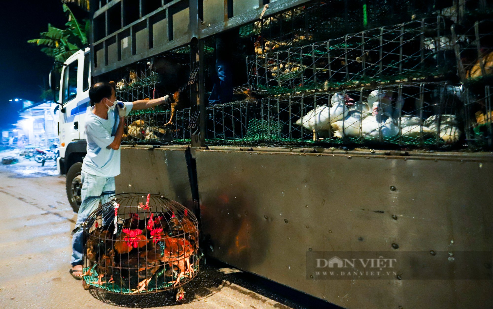 Bắc Giang: Cận cảnh chợ gà đêm Liên Sơn và mong mỏi về một “nơi ở mới” - Ảnh 17.