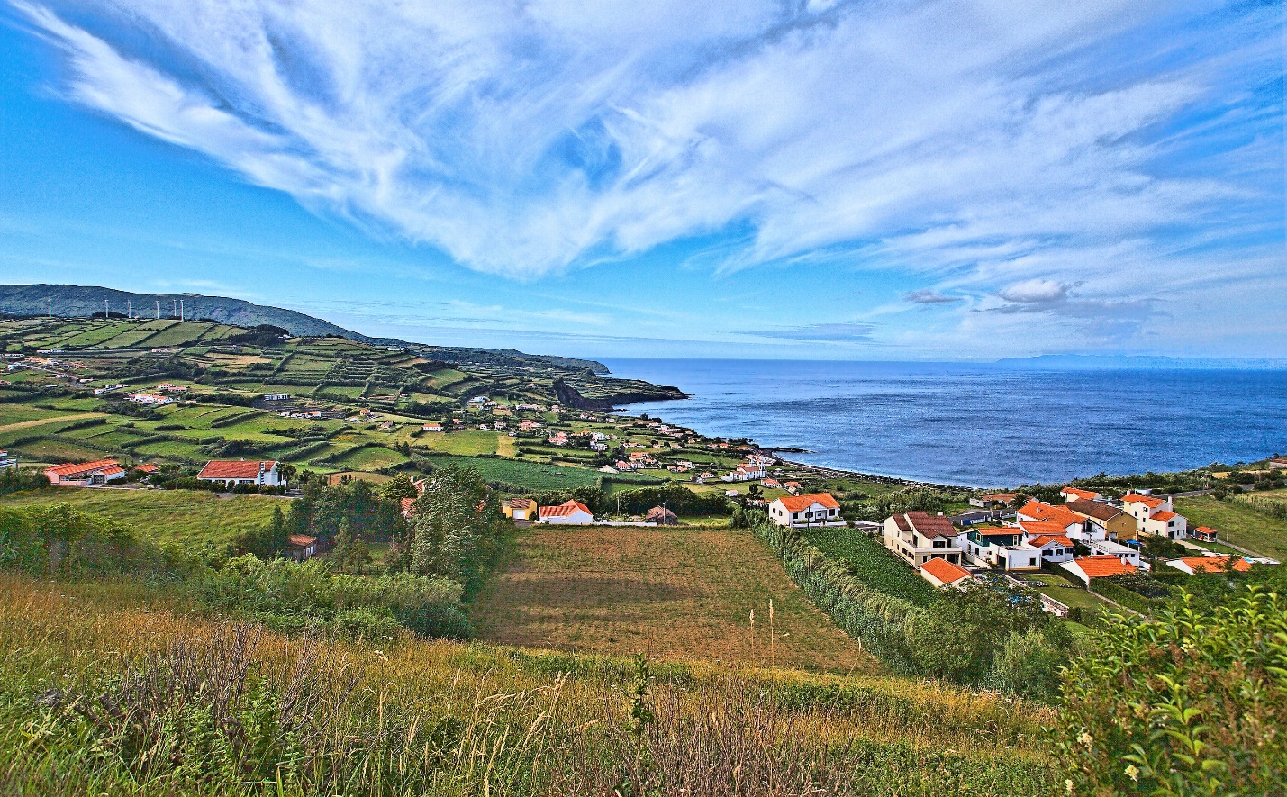 Trải nghiệm bơi cùng cá heo tại đảo Azores hút khách du lịch - Ảnh 3.