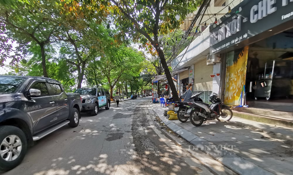 Cận cảnh những con đường thi ca ở Hà Nội - Ảnh 18.