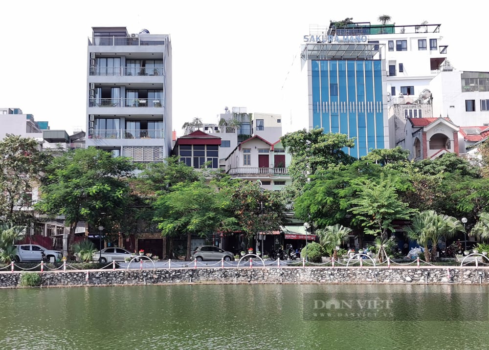 Cận cảnh những con đường thi ca ở Hà Nội - Ảnh 19.