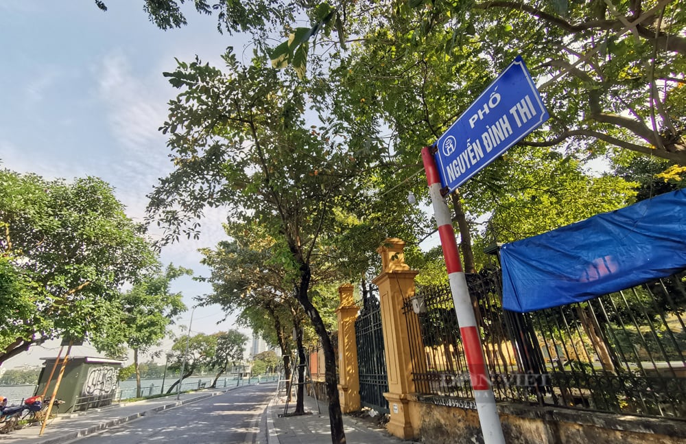 Cận cảnh những con đường thi ca ở Hà Nội - Ảnh 8.