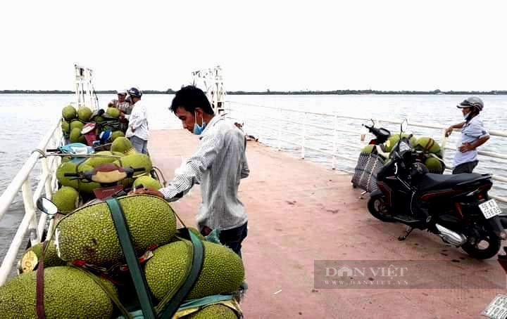 Tiền Giang: Kẹt contenner, giá mít sập sàn chỉ còn 1.000 đồng/kg - Ảnh 1.