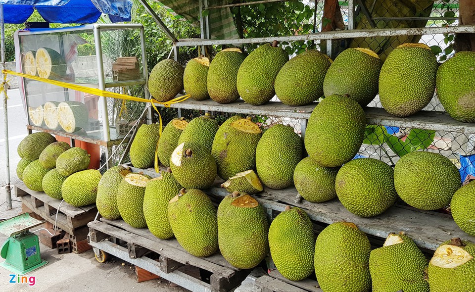 Xuất khẩu sang Trung Quốc gặp khó, mít Thái rớt giá nặng - Ảnh 1. Xuất khẩu sang Trung Quốc gặp khó, mít Thái rớt giá nặng - Ảnh 1.