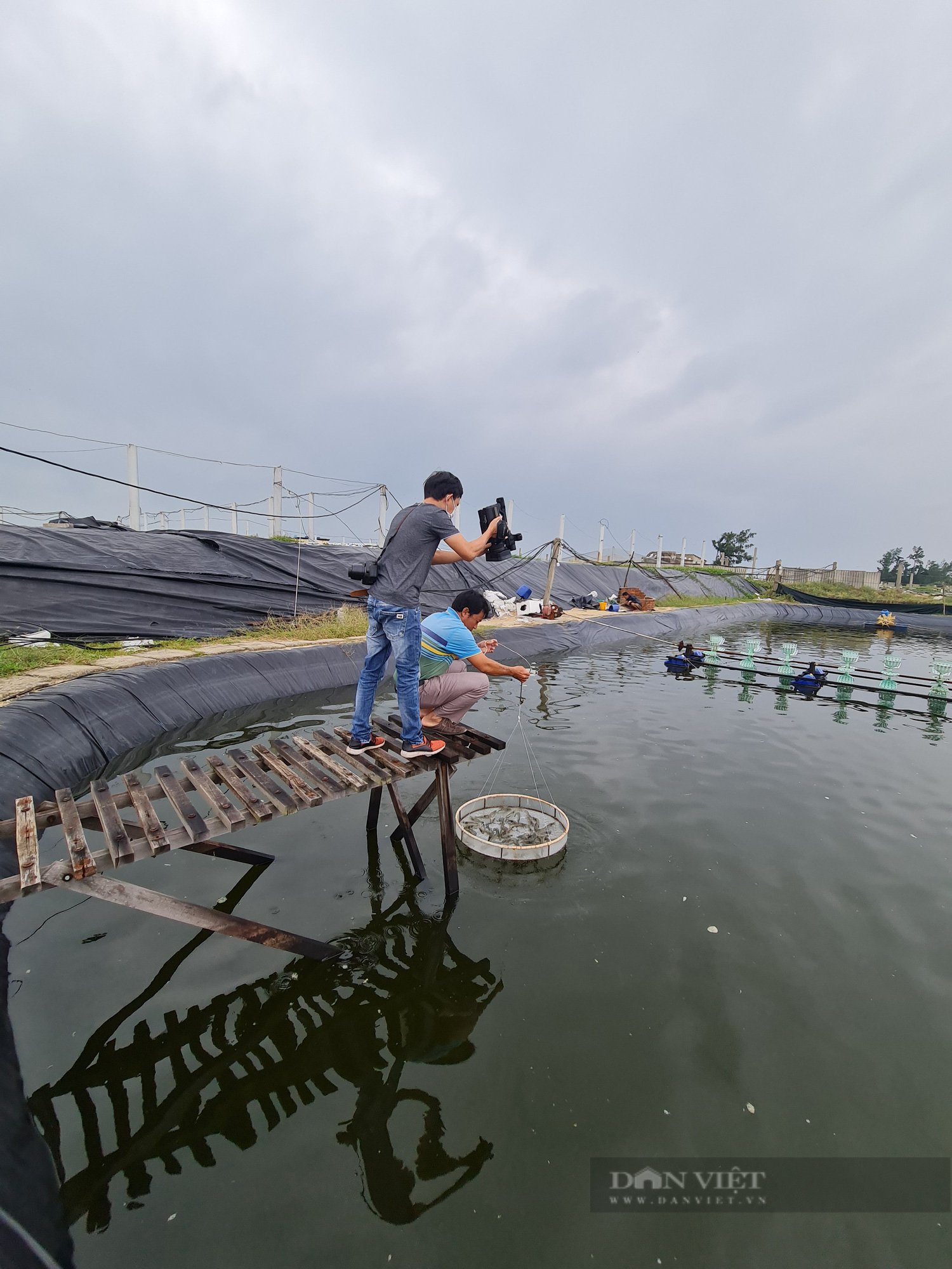 “Vua tôm” xứ Quảng trở thành nông dân Việt Nam xuất sắc    - Ảnh 4.