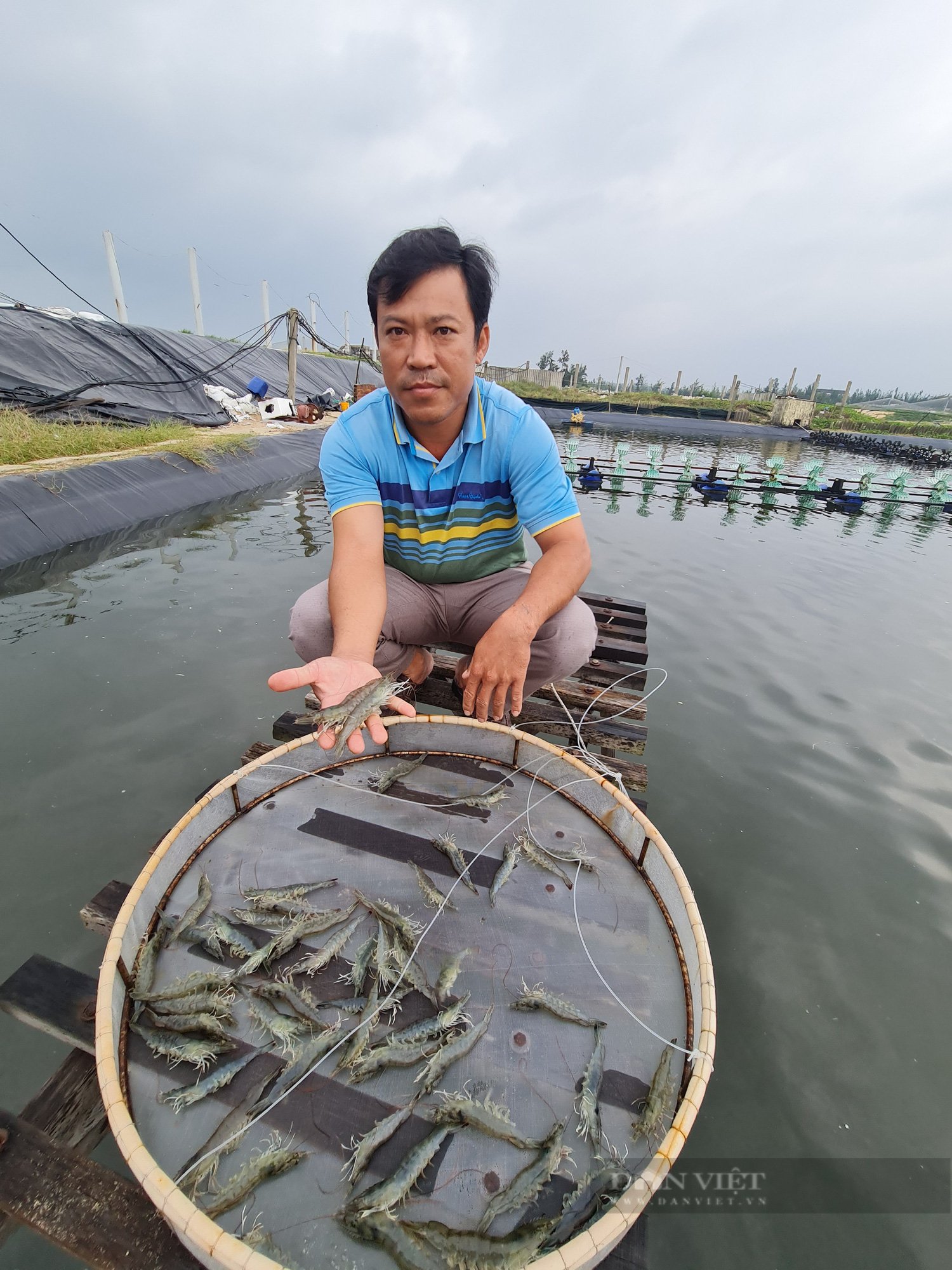 “Vua tôm” xứ Quảng trở thành nông dân Việt Nam xuất sắc    - Ảnh 5.